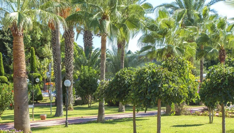 LONICERA WORLD HOTEL 4* - Alanya, Turkey. Tours from 985  - Alida